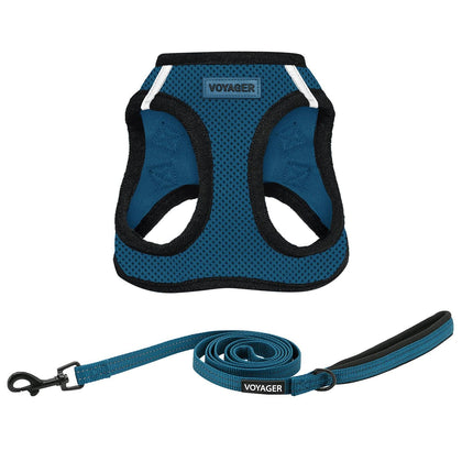 Step-in Air Harness & Leash Set - VOYAGER Dog Harnesses