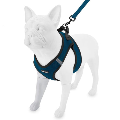 Step-in Air Harness & Leash Set - VOYAGER Dog Harnesses