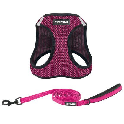Step-in Air Harness & Leash Set - VOYAGER Dog Harnesses