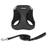 Step-in Air Harness & Leash Set - VOYAGER Dog Harnesses