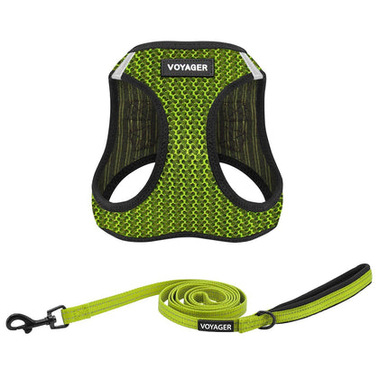 Step-in Air Harness & Leash Set - VOYAGER Dog Harnesses