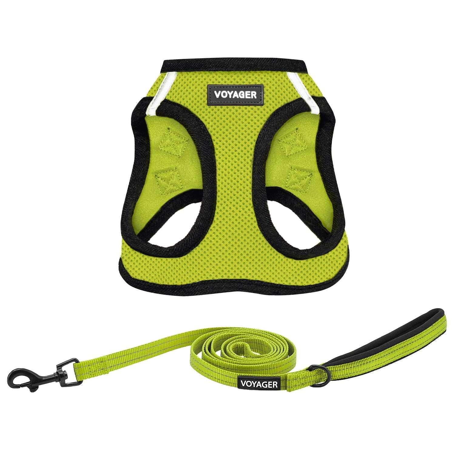 Step-in Air Harness & Leash Combo Set