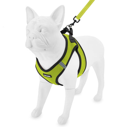Step-in Air Harness & Leash Set - VOYAGER Dog Harnesses