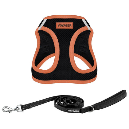 Step-in Air Harness & Leash Set - VOYAGER Dog Harnesses