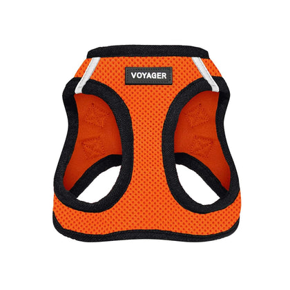 Step-in Air Harness & Leash Combo Set