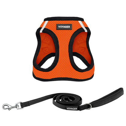 Step-in Air Harness & Leash Set - VOYAGER Dog Harnesses