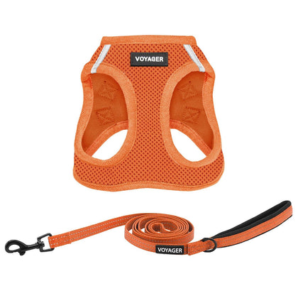 Step-in Air Harness & Leash Set - VOYAGER Dog Harnesses