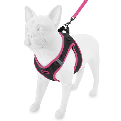 Step-in Air Harness & Leash Set - VOYAGER Dog Harnesses