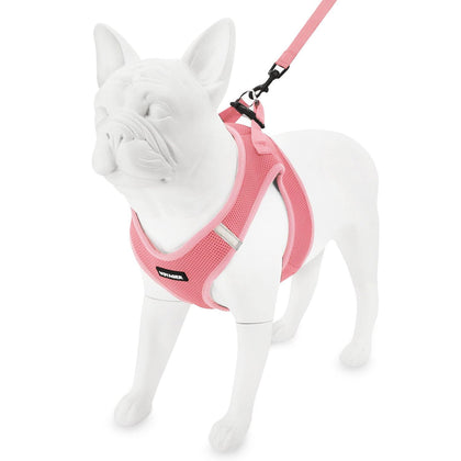 Step-in Air Harness & Leash Set - VOYAGER Dog Harnesses