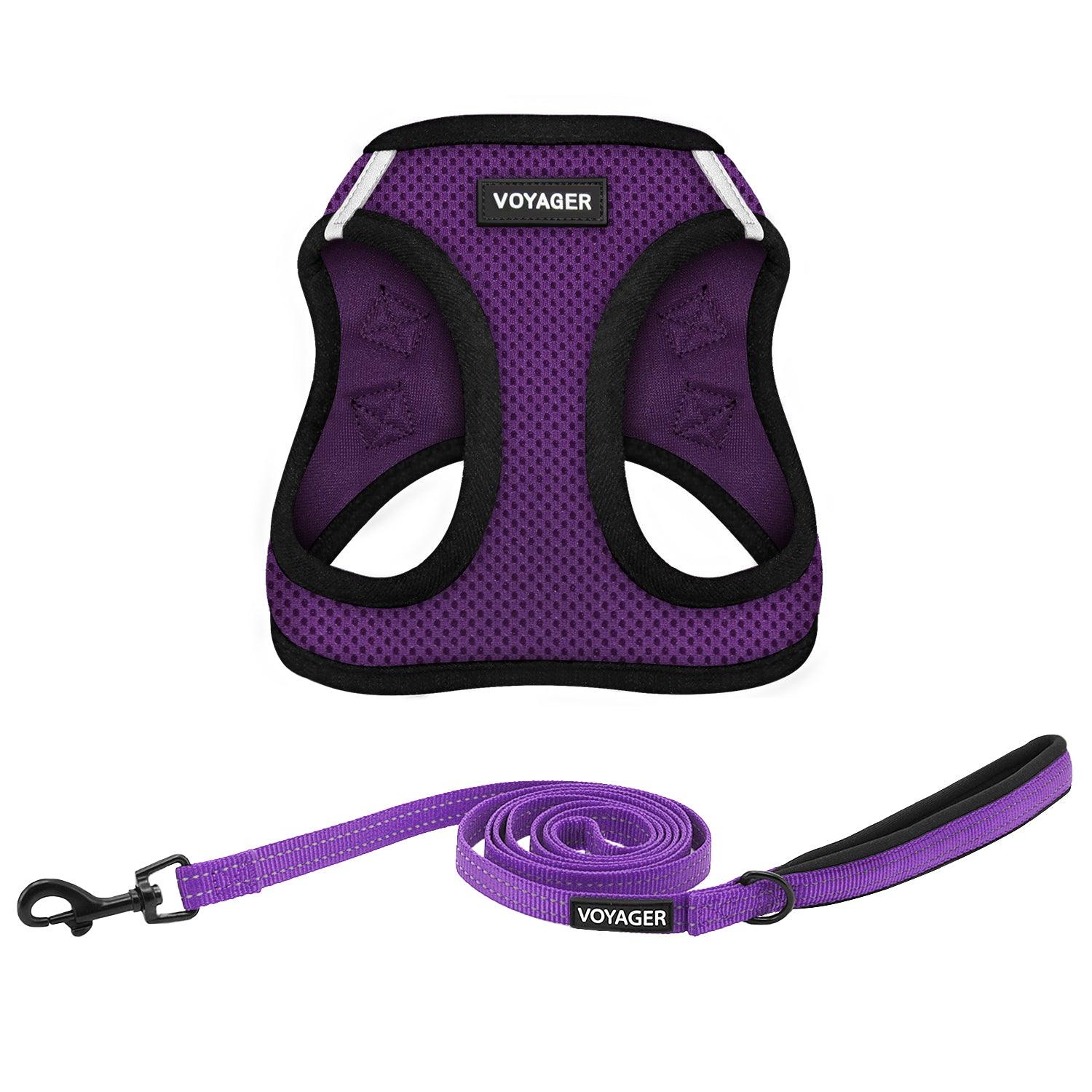 Step-in Air Harness & Leash Combo Set - VOYAGER Dog Harnesses