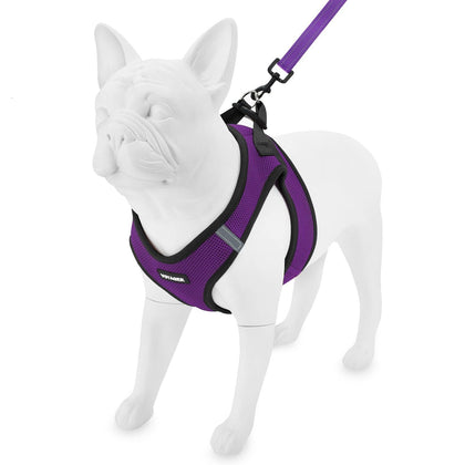 Step-in Air Harness & Leash Set - VOYAGER Dog Harnesses