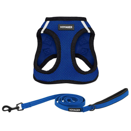 Step-in Air Harness & Leash Combo Set