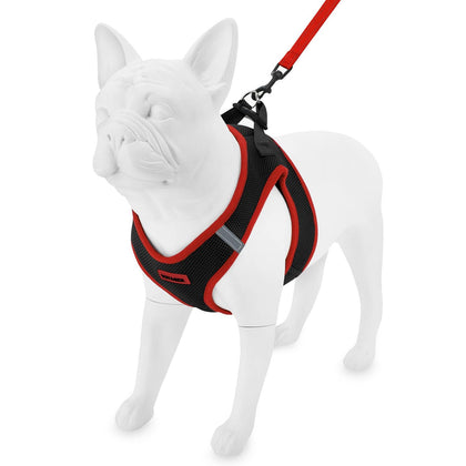 Step-in Air Harness & Leash Set - VOYAGER Dog Harnesses