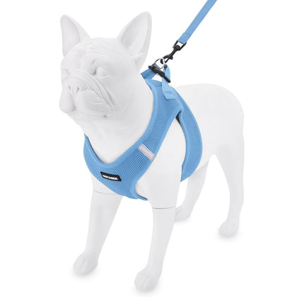 Step-in Air Harness & Leash Set - VOYAGER Dog Harnesses
