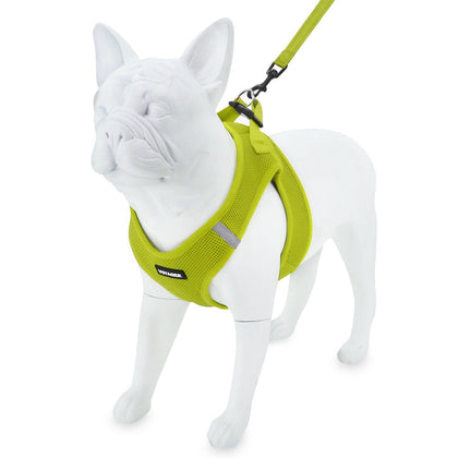 Step-in Air Harness & Leash Set - VOYAGER Dog Harnesses