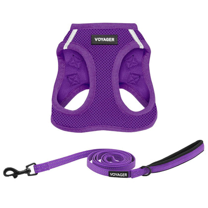Step-in Air Harness & Leash Set For Cats - VOYAGER Dog Harnesses