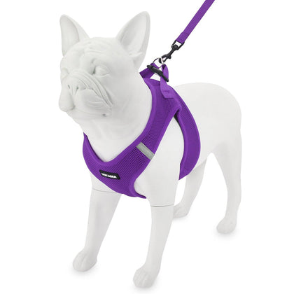 Step-in Air Harness & Leash Set - VOYAGER Dog Harnesses