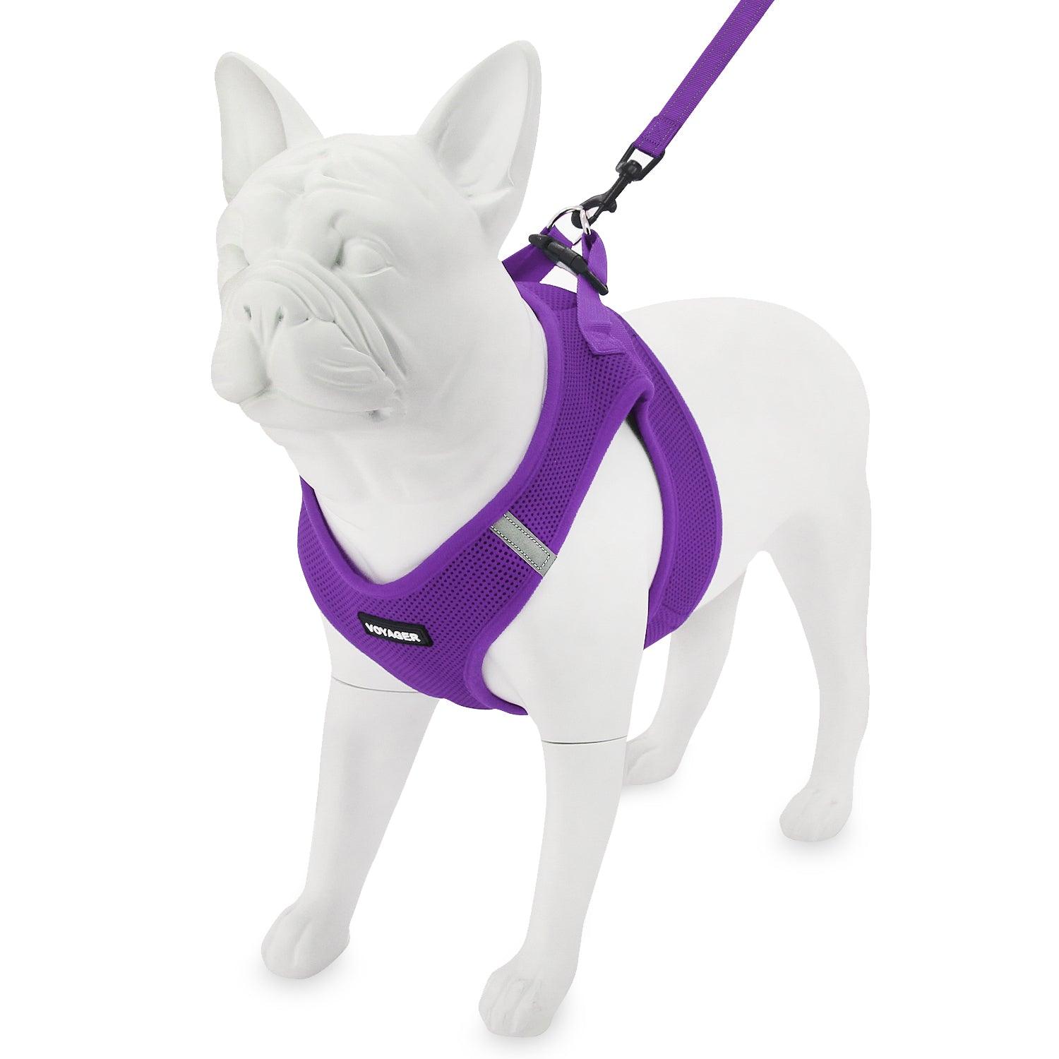Halloween Step-in Air Harness & Leash Set - VOYAGER Dog Harnesses