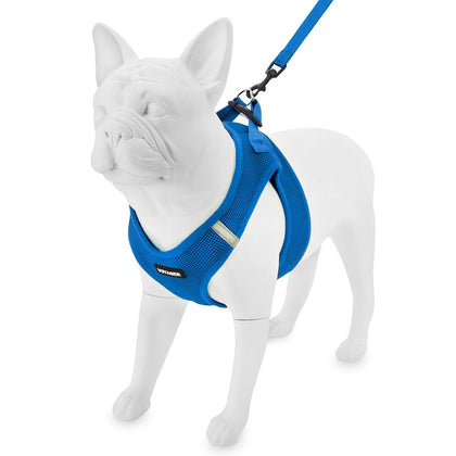 Step-in Air Harness & Leash Set - VOYAGER Dog Harnesses