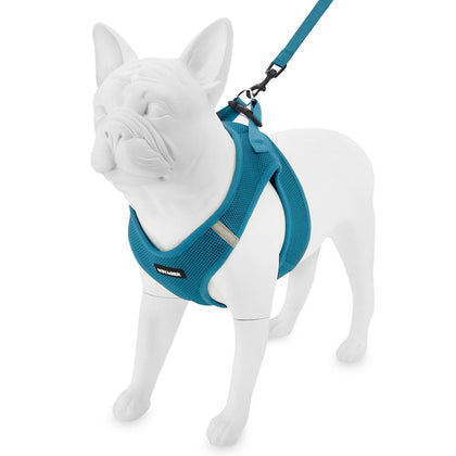 Step-in Air Harness & Leash Set - VOYAGER Dog Harnesses