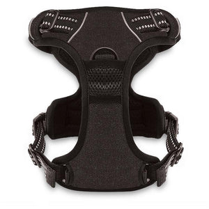 VOYAGER Dual-Attachment Dog Harness in Black - Back