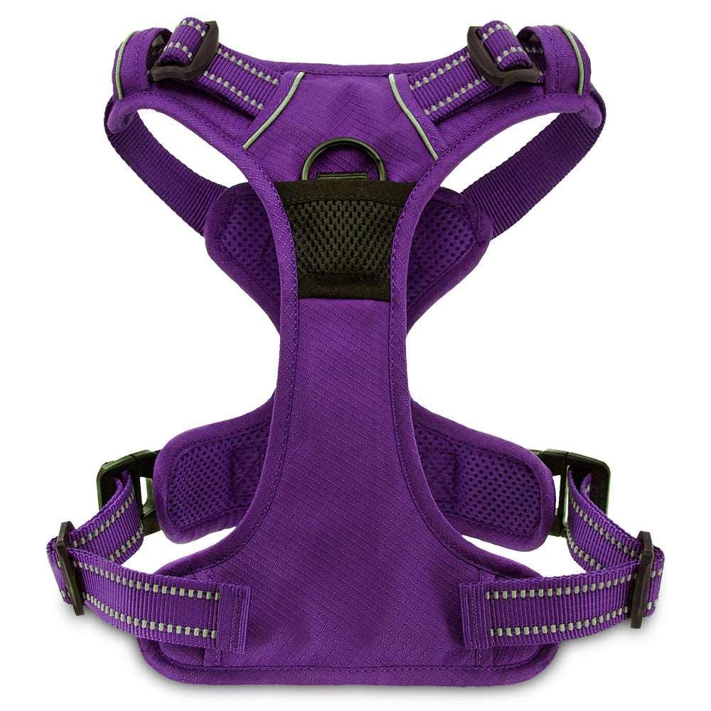 VOYAGER Dual-Attachment Dog Harness in Purple - Back