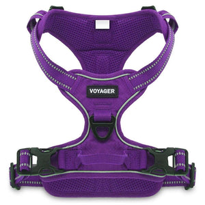 VOYAGER Dual-Attachment Dog Harness in Purple - Front