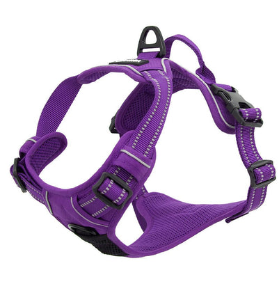 VOYAGER Dual-Attachment Dog Harness in Purple - Expanded