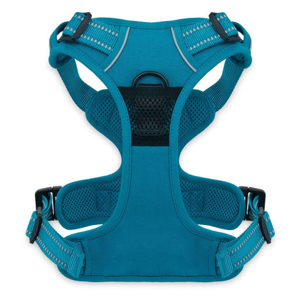 VOYAGER Dual-Attachment Dog Harness in turquoise - Back