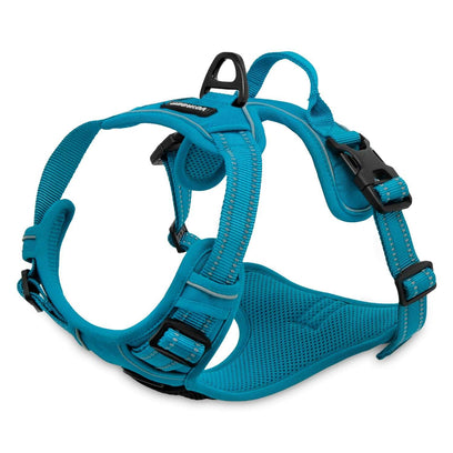 VOYAGER Dual-Attachment Dog Harness in turquoise - Expanded