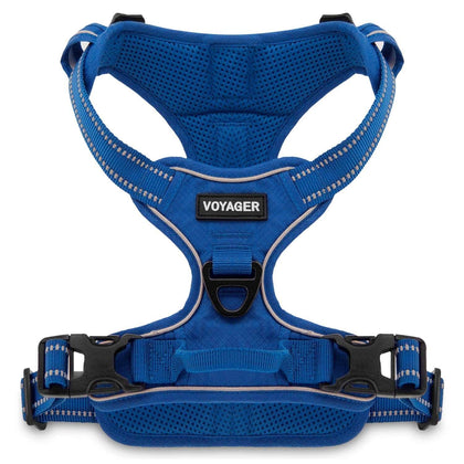 VOYAGER Dual-Attachment Dog Harness in Royal Blue - Front