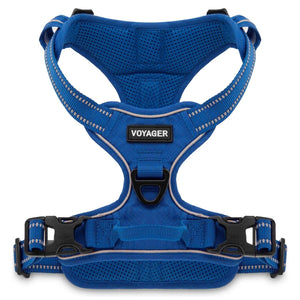 VOYAGER Dual-Attachment Dog Harness in Royal Blue - Front