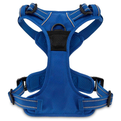 VOYAGER Dual-Attachment Dog Harness in Royal Blue - Back