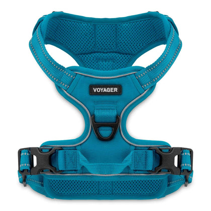 VOYAGER Dual-Attachment Dog Harness in turquoise - Front