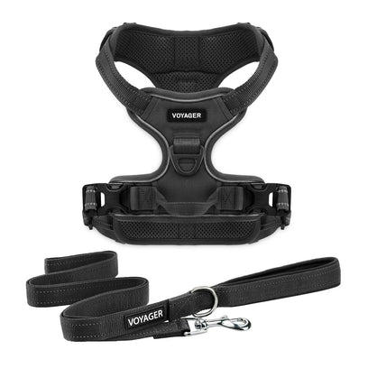 Dual-Attachment Harness & Leash Set - VOYAGER Dog Harnesses