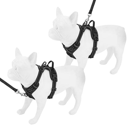Dual-Attachment Harness & Leash Set - VOYAGER Dog Harnesses