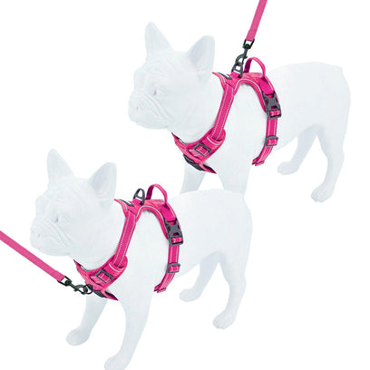 Dual-Attachment Harness & Leash Combo Set - VOYAGER Dog Harnesses