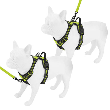 Dual-Attachment Harness & Leash Combo Set - VOYAGER Dog Harnesses