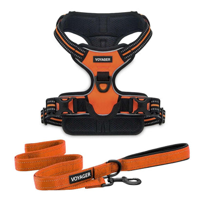 Voyager Dual-Attachment Harness & Leash Combo Set - Orange