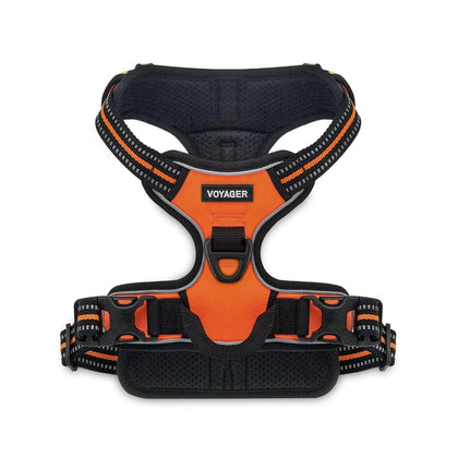 Harness & Leash Combo Set