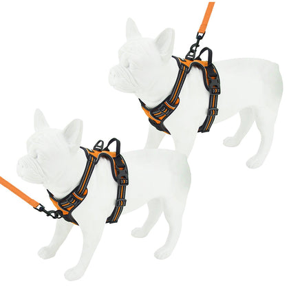 Dual-Attachment Harness & Leash Combo Set - VOYAGER Dog Harnesses