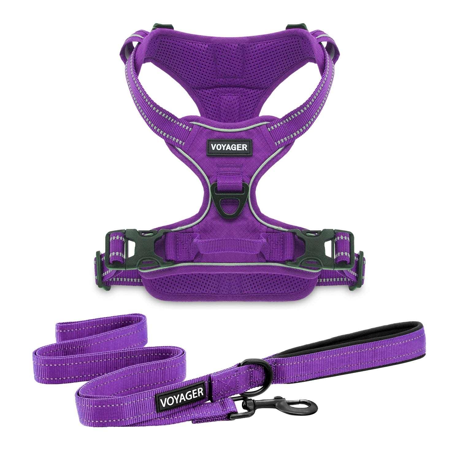 Voyager Dual-Attachment Harness & Leash Combo Set - Purple