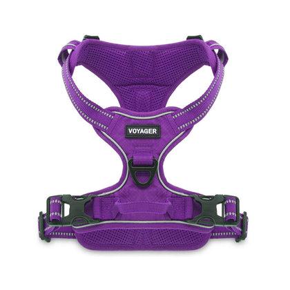 Harness & Leash Combo Set