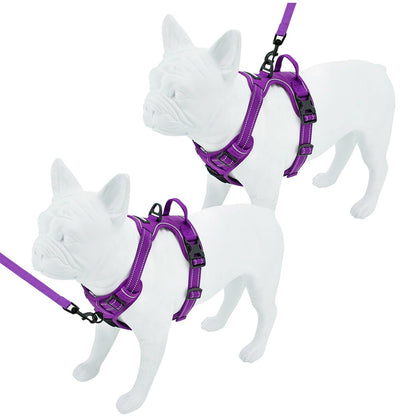 Dual-Attachment Harness & Leash Combo Set - VOYAGER Dog Harnesses