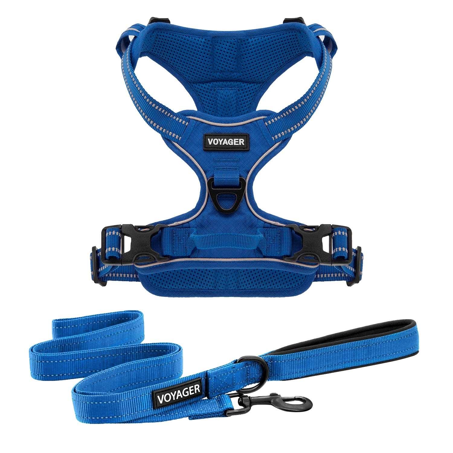 Voyager Dual-Attachment Harness & Leash Combo Set - Royal Blue