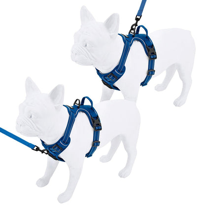 Dual-Attachment Harness & Leash Combo Set - VOYAGER Dog Harnesses