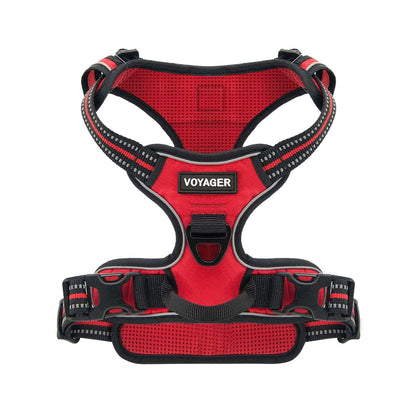 Harness & Leash Combo Set