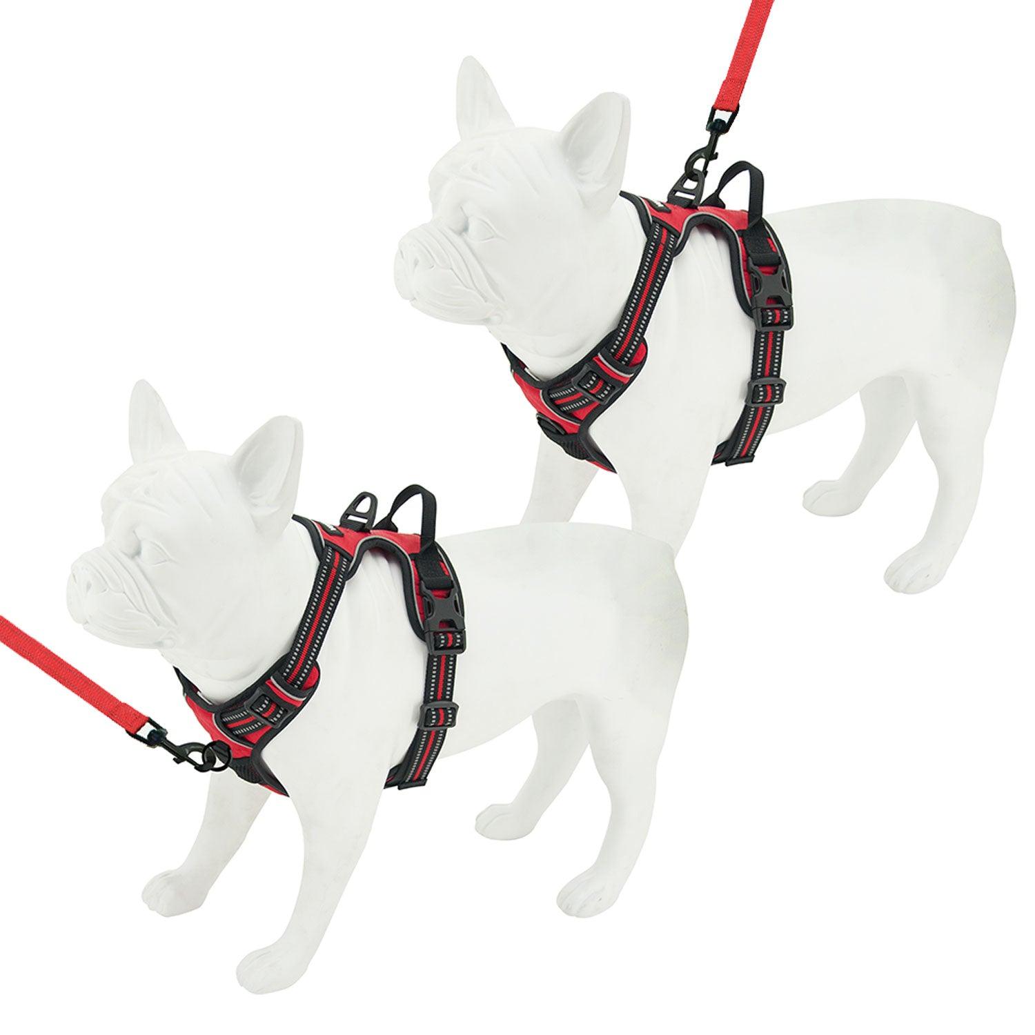 Voyager Dog Harness Dual Leash Attachment No-Pull Control Adjustable Soft But Strong Pet Harness for Medium and Large Dogs with 3M Reflective