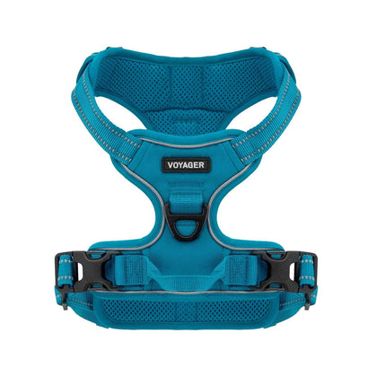 Harness & Leash Combo Set