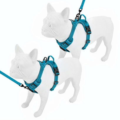 Dual-Attachment Harness & Leash Combo Set - VOYAGER Dog Harnesses